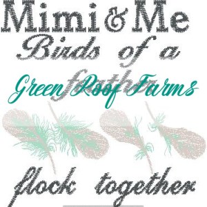 Mimi 4x4 design Mimi and me Birds of a Feather