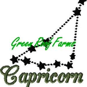 Capricorn 5x6 including a knockdown