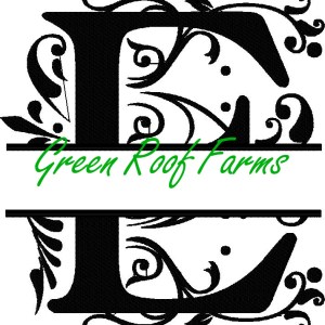 4x4 Royal Font Split with knockdown: E