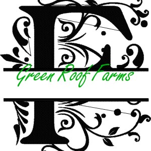 4x4 Royal Font Split with knockdown: F