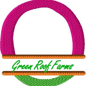 4x4 hoop Color Split Monogram (4x4) with Knockdown: O