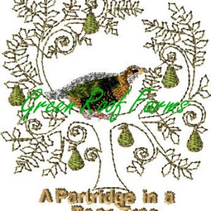 christmas character and Meaning designs 4x4 set 24 designs