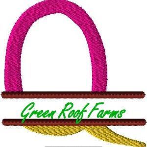 4x4 hoop Color Split Monogram (4x4) with Knockdown: Q