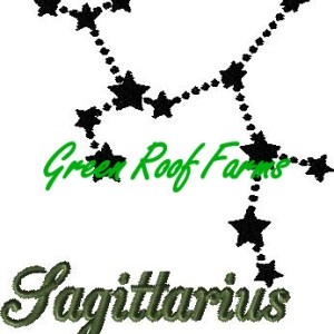 Sagittarius 5x6 including a knockdown