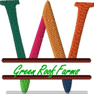 4x4 hoop Color Split Monogram (4x4) with Knockdown: W