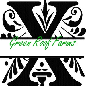 4x4 Royal Font Split with knockdown: X