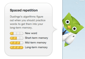 duolingo 2
