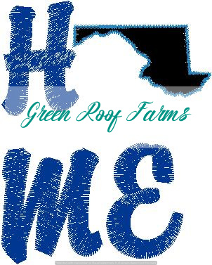 Home Maryland Single Design