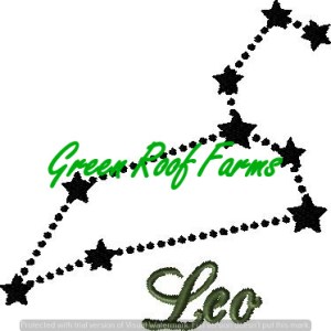 Leo 5x6 including a knockdown