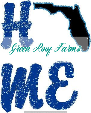 Home Florida Single Design