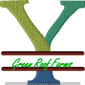 4x4 hoop Color Split Monogram (4x4) with Knockdown: Y