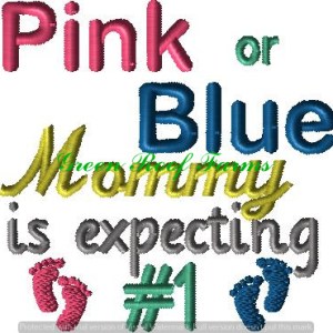 Expecting baby 1 He or She gender reveal or announcement