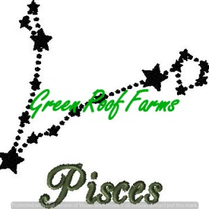 Pisces 5x6 including a knockdown