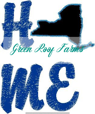 Home New York Single Design