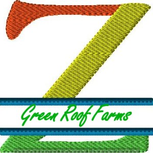 4x4 hoop Color Split Monogram (4x4) with Knockdown: Z