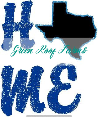 Home Texas Single Design