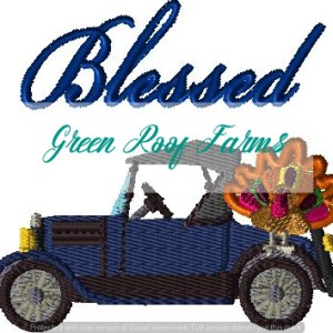 Model T transporting a Turkey