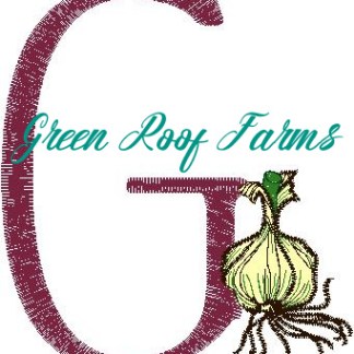 G_Garlic Fruit and Veggie 4 design pack