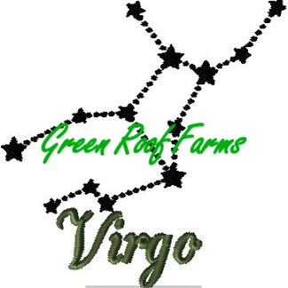 Virgo 5x6 including a knockdown