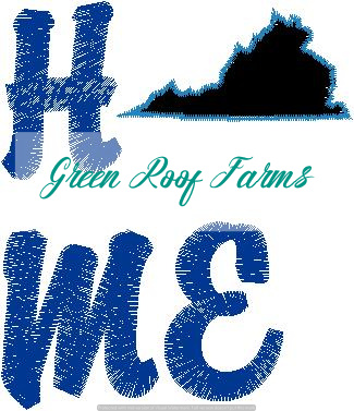 Home Virginia Single Design