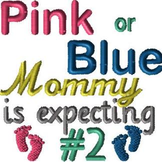 Expecting baby 2 He or She gender reveal or announcement
