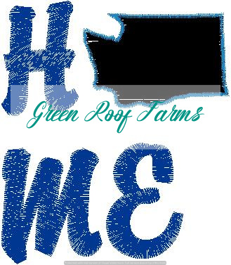 Home Washington Single Design