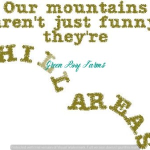 Hill Areas design funny billboard sign saying