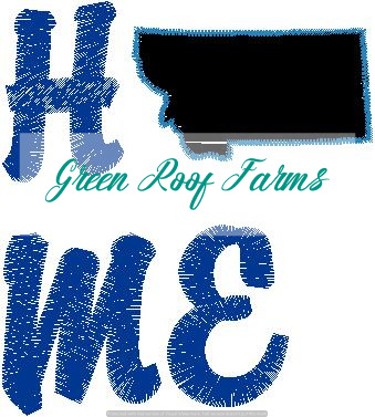 Home Montana Single Design
