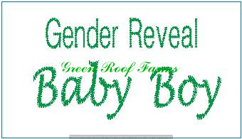 Mini Candy Bar Saying Wraps Baby Pack 1 for 4x4 hoop; 13 designs - Image 8