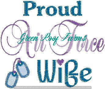 Air Force Wife