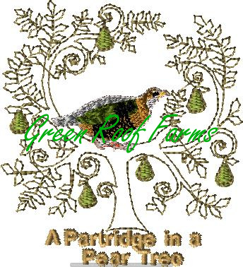 Day 1 A Partridge in a Pear Tree 4x4: 2 design set plus knockdown - Image 3
