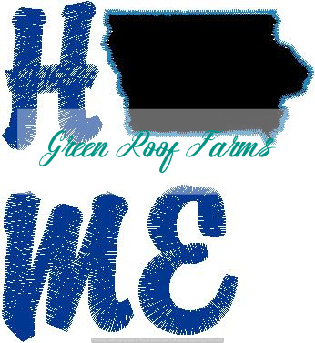 Home Iowa Single Design