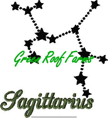 Sagittarius 4x4 including a knockdown