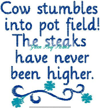 Billboard Sayings Pack 1 4x4 13 designs - Image 5