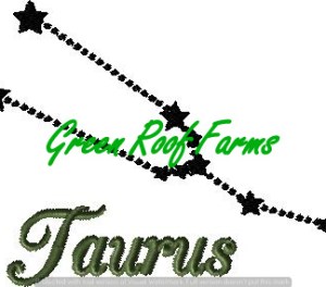 Taurus 4x4 including a knockdown