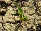 How To Plant Grass Seeds On Hard Dirt Step By Step Guide