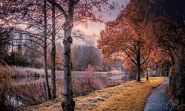 Vibrant autumn landscape featuring colorful trees, a serene river, and a winding pathway during sunset, capturing the peaceful beauty of fall.