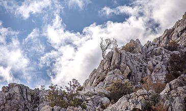 clouds rocks and bushes
