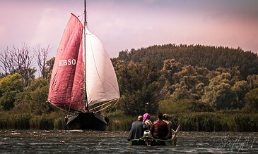 Vibrant sailboat with pink and white sails cruising on calm waters surrounded by lush green trees and a colorful sky, capturing memorable moments of outdoor adventure and nature's beauty.