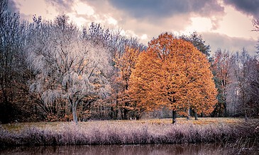 Vibrant fall landscape featuring colorful autumn trees along a serene riverbank with a dramatic cloudy sky.