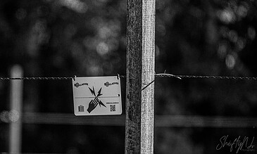 A black and white photo of a wooden fence post with a Gallagher warning sign, set against a blurred background of trees and bokeh lighting.