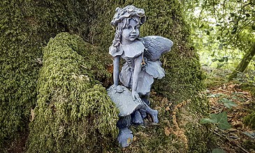 fairy in the woods