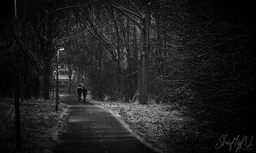 Dark winter night street scene with two people walking under streetlights, surrounded by leafless trees and snow on the ground, capturing a moody, intimate moment.