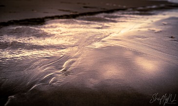 Calm ocean waves on sandy shore during sunset, tranquil beach scene with gentle ripples reflecting warm light, captured by professional photographer for memorable moments.