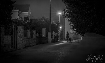 my wife and dog waiting for me