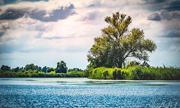Serene riverside landscape featuring a large tree, lush greenery, and a dramatic sky with clouds, captured by ShiftyNL Photography.