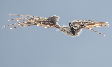the flare angel wolfie