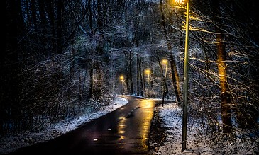 1. Snowy forest pathway illuminated by streetlights at night, creating a peaceful winter scene with reflections on the wet pavement.