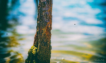 A weathered wooden post partially submerged in water, showcasing textures and moss growth, with a vibrant blue and green blurred water background.