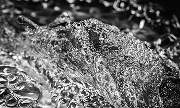 Vivid black and white photograph capturing a close-up of a dolphin surfacing in turbulent water, showcasing detailed bubbles and water movement.
